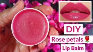 HOW TO MAKE LIP BALMS 👄 [upl. by Nelly541]