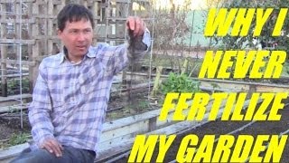 Why I Never Fertilize My Vegetable Garden and Get Better Results without it [upl. by Malarkey]