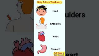 Learn Body Parts Vocabulary in English shorts [upl. by Eimareg378]