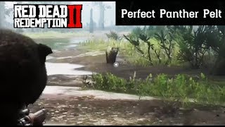 Where To Find A Panther  Red Dead Redemption 2 Perfect Pelt Location Guide RDR2 [upl. by Isborne]