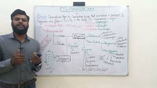 Blood its Parts amp Composition UrduHindi Lec14  Physiology  PTLectureSeriesTheDrugEducator [upl. by Eseilanna342]