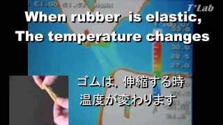 輪ゴムの発熱吸熱を”見る” Watching Endothermic and Exothermic Process in the Rubber Band [upl. by Cleve]