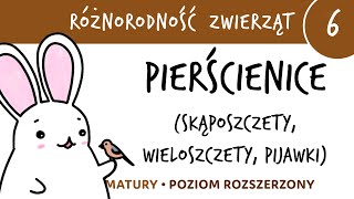 Różnorodność zwierząt 6  Pierścienice skąposzczety wieloszczety pijawki  matura z biologii [upl. by Glori]