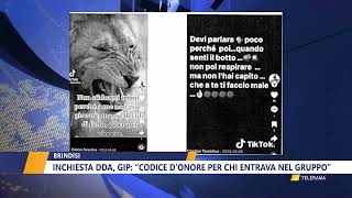 Inchiesta dda gip “codice donore per chi entrava nel gruppo” [upl. by Nnaeinahpets]