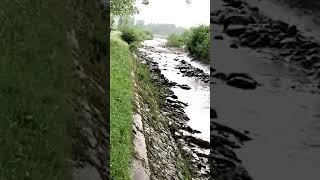 🌊 Inundaciones en Bolonia y el Poder del Río Lawi en Suiza 🇮🇹🇨🇭 [upl. by Parrisch]