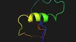 Protein folding simulation from denatured to native state [upl. by Einej]