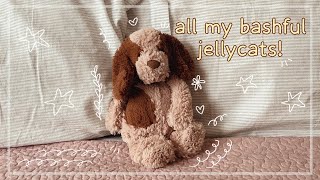 jellycat bashful collection all my jellycat bashfuls as of july 2023  kinzplush [upl. by Vikky]