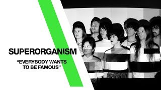 Superorganism  ‘Everybody Wants To Be Famous’ Live From The Independent  San Francisco CA [upl. by Laup389]