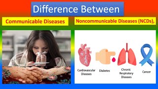 Difference between communicable diseases and noncommunicable diseases [upl. by Llyrrad]