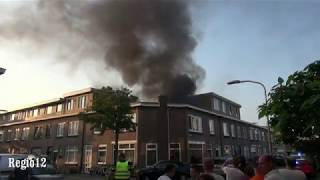 Grote brand in de Kanariestraat Haarlem kat gered door de brandweer [upl. by Ritter]