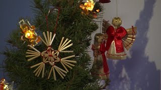 Ukrainische Familie feiert erstes orthodoxes Weihnachtsfest in neuer Heimat Österreich  AFP [upl. by Tuneberg214]