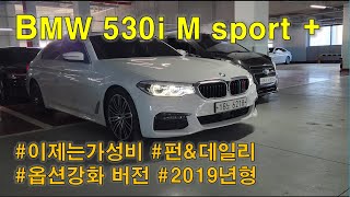 BMW 530i m sport 플러스 중고차 한번 볼까요 2019년형 옵션강화 모델입니다 [upl. by Finegan]