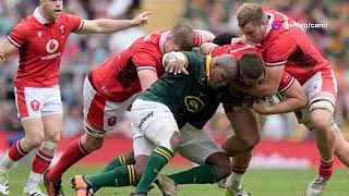 Springboks vs Wales [upl. by Estele508]