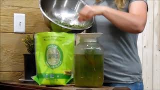 How To Make Pine Needle Soda [upl. by Daiz]