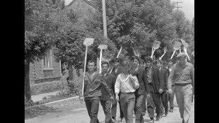 La Satu Mare brigadierii au început refacerea locuințelor 1970 inundatii [upl. by Glanti903]