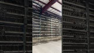 Bitcoin Mining bitcoinmining shorts passiveincome [upl. by Ledniahs]