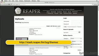 Reaper Tutorial  Setting the default theme and appearance [upl. by Analaf904]