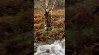 Stunning hike up to the priests hole at dove crag in the Lake District very peaceful overnighter [upl. by Nannarb]