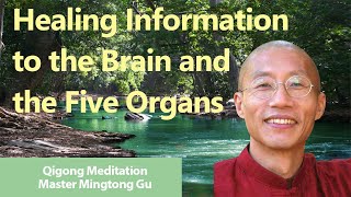 Qigong Meditation  Healing Information to Brain and the Five Organs [upl. by Eeresid]