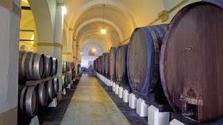 Swirl Smell and Savor A Unique Wine Tasting Trail  Visit Europe [upl. by Ennazzus]