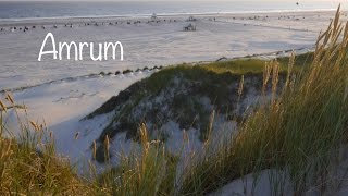 Amrum  Der Süddorfer Strand [upl. by Dasa]