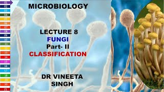 Understanding Fungal Classification A Deep Dive into Mycology [upl. by Nelaf683]