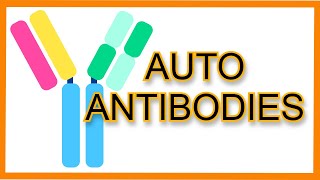 Autoantibodies Rapid Review [upl. by Ilohcin621]