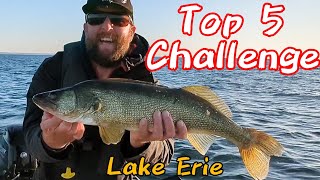 25 Walleye Caught Trolling Lake Erie [upl. by Annahc]