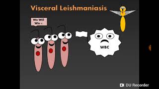 Introduction to Haemoflagellates amp Visceral leishmaniasis سوطيات الدم والليشمانيا الحشوية [upl. by Rubma]