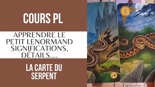 🐍🐢🐊Carte 7 Serpent🐍🐢🐊 Cours Petit Lenormand significations et détails [upl. by Stanley]