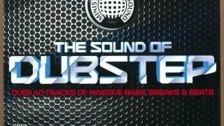 11  Hypercaine feat Stamina MC amp Koko  The Sound of Dubstep 1 [upl. by Shay]