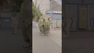 Is That a Triceratops  TRex Ranch Dinosaur Videos for Kids [upl. by Inoj456]