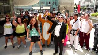 K1 KTOWN STYLE  PSY  Gangnam Style  강남스타일 Parody [upl. by Inaej23]