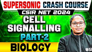 CSIR NET Life Science 2024  CSIR NET Cell Communication and Cell Signaling PYQ  Part 2 [upl. by Arjan174]