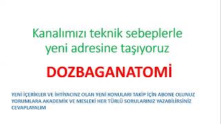 Kanalımızı buraya taşıdık Anatomiyi buaradan öğrenin [upl. by Hazard629]