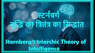 स्टर्नबर्ग का त्रितंत्र का सिद्धांत Sternberg’s triarchic Theory of Intelligence [upl. by Nyloc188]