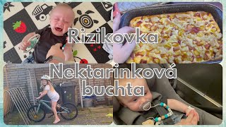 Do rizikové poradny nektarinková buchta  Vlog [upl. by Nivan]