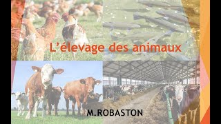 6ème Lélevage des animaux SVT [upl. by Cronin351]