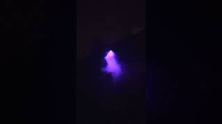 Spirit Halloween Fogging phantom nighttime demo [upl. by Lyrrad]