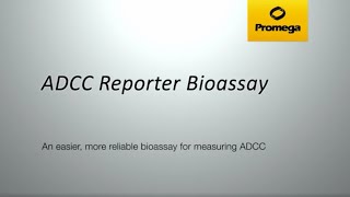 ADCC Reporter Bioassay  Cells as Critical Reagents [upl. by Campman]