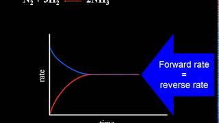 equilibrium chemistry class 11 one shot revision complete chapter [upl. by Wanda306]