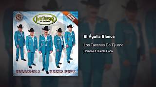 El Águila Blanca  Los Tucanes De Tijuana Audio Oficial [upl. by Narut]