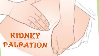 Kidney Palpation  Physical Examination Techniques For Clinical Practice☝️ [upl. by Slade]