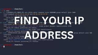 Find IP address using the Linux terminal [upl. by Stuppy580]