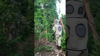 Removing Biggest Hornet nest 1 honeybeesting waspnest waspnestremoval insectnest comedy wasps [upl. by Las]