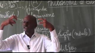 Philosophie et Science par M Elhadj Songué Diouf leçon 2 [upl. by Swope]