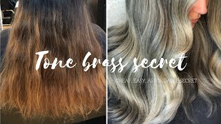 How To Tone Hair CHEAP EASY SECRET [upl. by Arrol650]