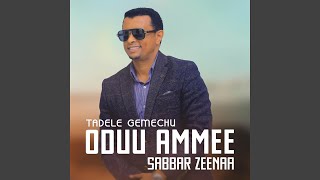 SABBAR ZEENA ODUU AMMEE [upl. by Leid]