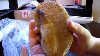 Kem Kem Jurassic Dreams MASSIVE Dinosaur Fossil UNBOXING [upl. by Senzer118]