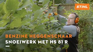 Snoeiwerk met HS 81 R  STIHL Benzine heggenscharen [upl. by Carry]